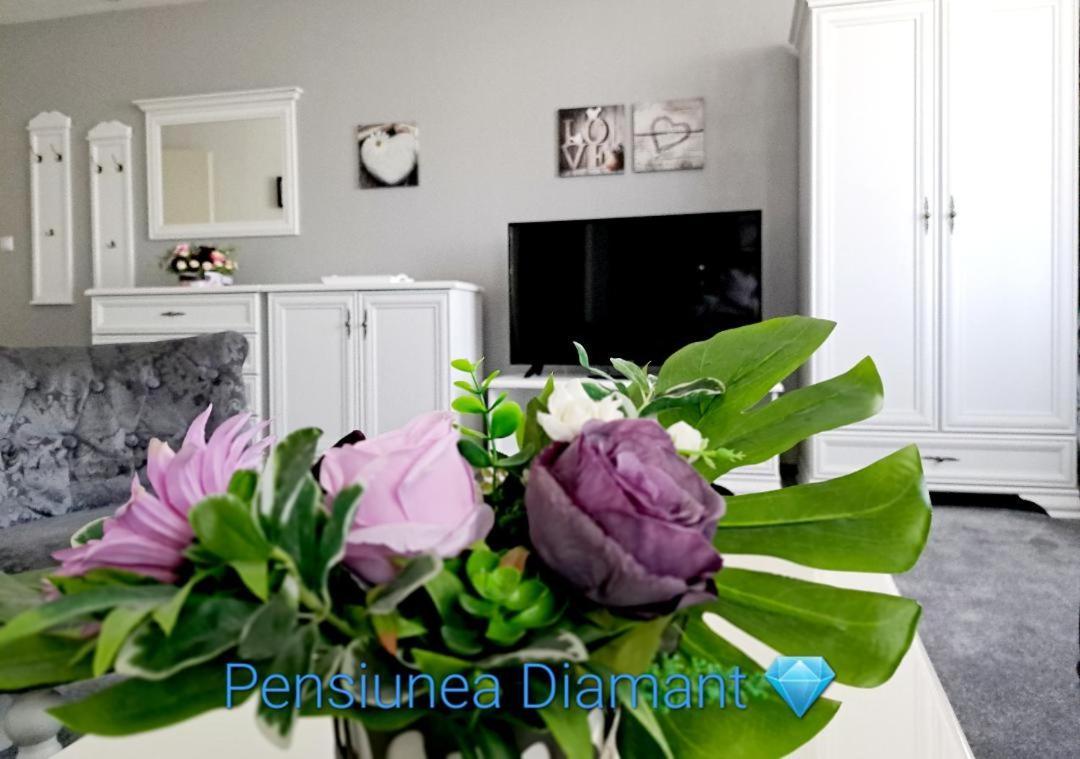 Pensiunea Diamant Ghimbav Exterior foto